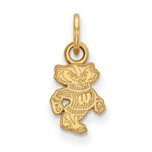 10k Yellow Gold U. of Wisconsin XS (Tiny) Badgers Charm or Pendant